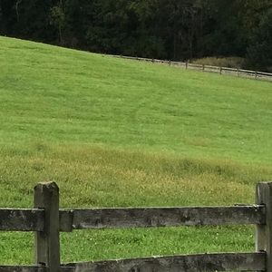 Meet your Posher, Max